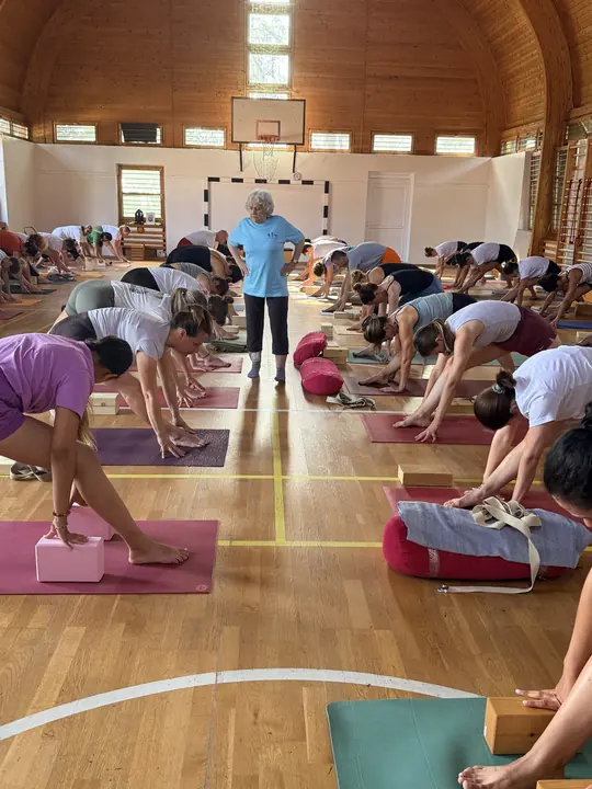 Usha Devi Yoga Workshop