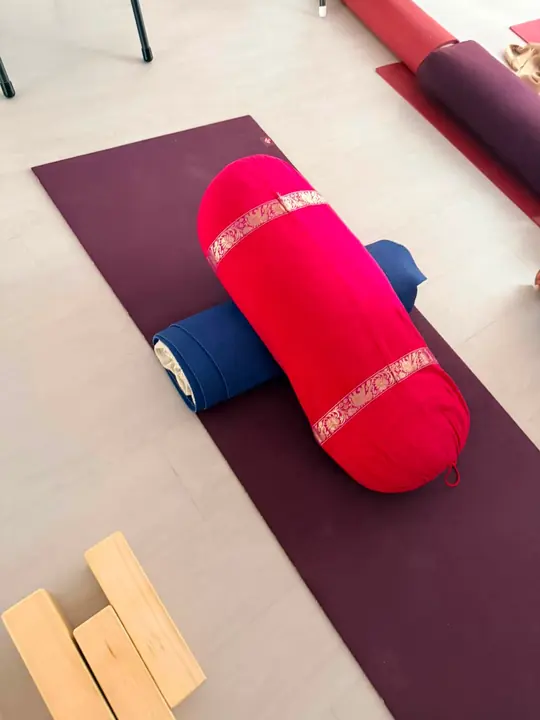 Nishu Yoga
